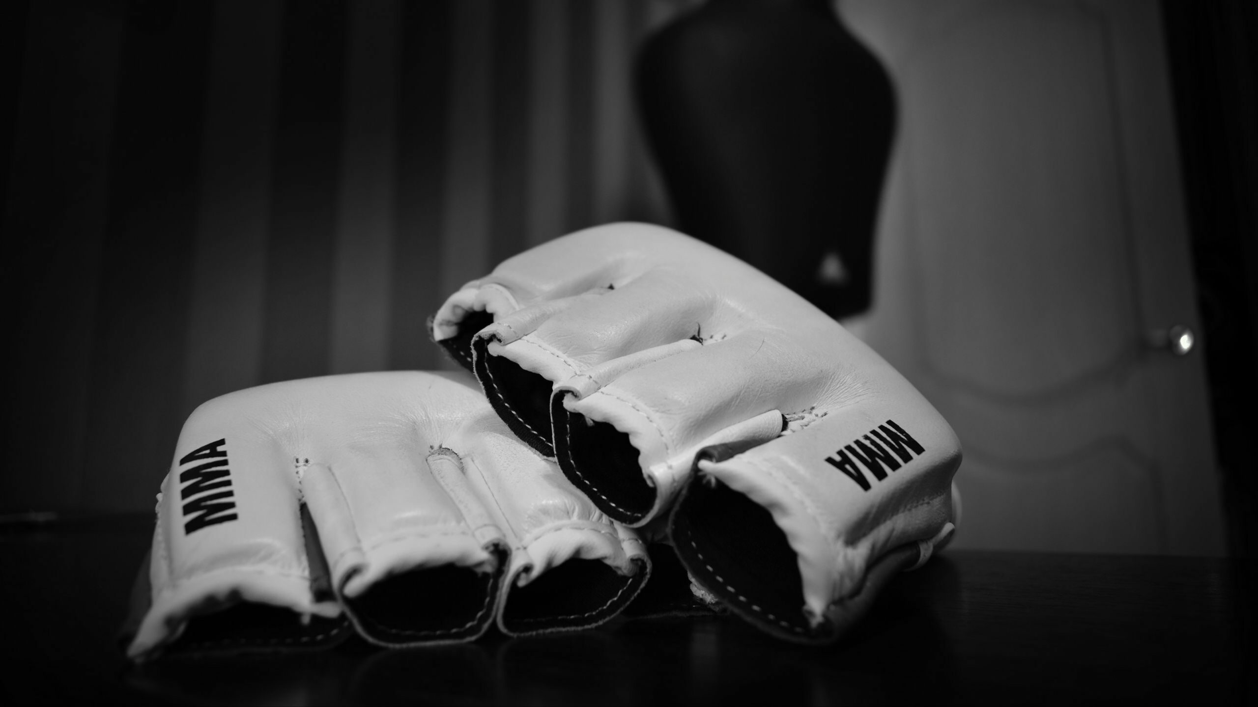 Dobrodošli na novi sajt Tribal MMA Sirmium
